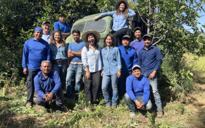 How Mediation Helped One Farm Navigate Succession Planning Across Generations
